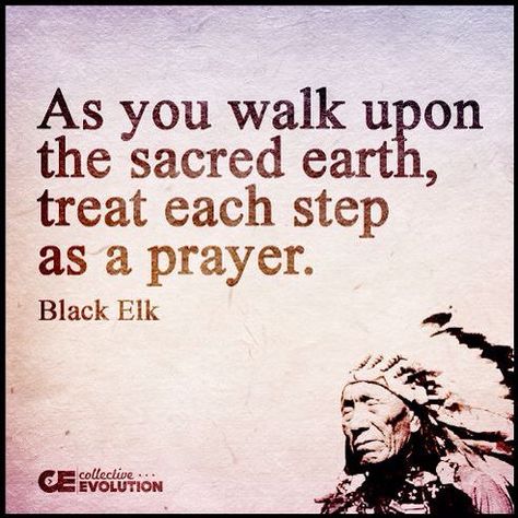 Image result for native american lakota sioux quotes Native Quotes, Sacred Earth, Native American Wisdom, Save Our Earth, Native American Quotes, Teaching Social Studies, Motivational Pictures, New Earth, Spiritual Wisdom