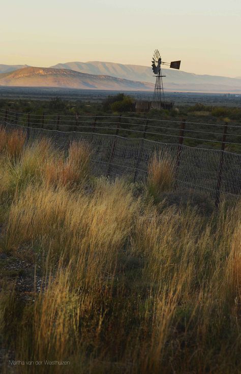 Farm South Africa, Safari Landscape, Windmills Photography, Country Images, Tilting At Windmills, South Africa Photography, Wind Mill, Old Windmills, Western Photography