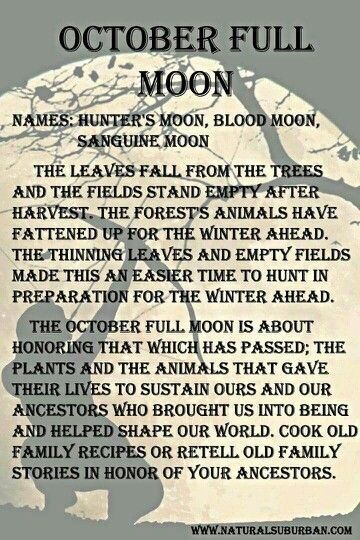 Hunters moon October Full Moon, Hunters Moon, Full Moon Names, Moon Meaning, Moon Names, You Are My Moon, Full Moon Ritual, Moon Cycles, Blood Moon