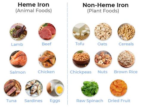 Iron Sources Food, Vegan Sources Of Iron, Vegan Iron Sources, Iron Sources, Vegan Iron, Vitamin C Foods, Sources Of Iron, Vegetarian Nutrition, Foods With Iron