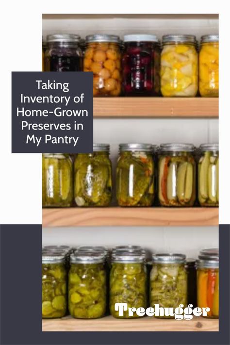 It's important and useful to keep track of what you preserve, store, and eat. Plants Per Person, Preserving Food Homestead Survival, Stock Your Pantry, Elderberry Recipes, Freezing Fruit, Canned Fruits, Prevent Food Waste, Canned Vegetables, Canning Vegetables