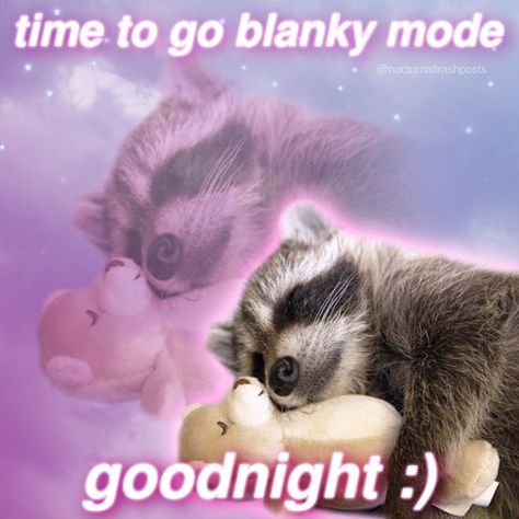 Raccoon Memes, Good Night Cat, Send Love, Cute Raccoon, Raccoon Funny, Trash Panda, Silly Animals, A Meme, Racoon