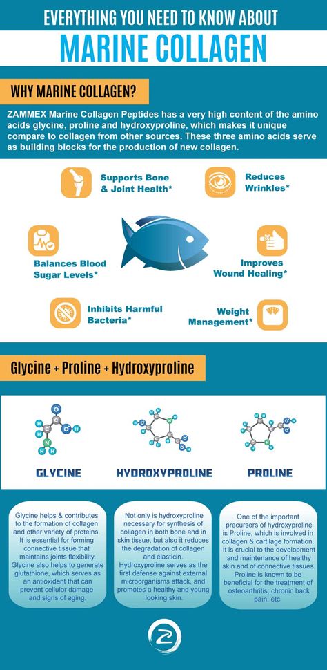 We believe it’s very important to establish something – there isn’t a “better” option when it comes to collagen supplementation. If you’re going to try and compare Bovine vs. Marine you’re really splitting hairs. People will claim that Marine Collagen is more “bioavailable” or in normal people terms more efficiently absorbed in the system. That isn’t true...  Read more with link below.  #zammex #zammexnutrition #marinecollagen #collagen #collagenpeptides Marine Collagen Benefits, Health Benefits Of Collagen, Echinacea Benefits, Collagen Benefits, Blood Sugar Diet, Collagen Supplements, Collagen Powder, Marine Collagen, Normal People