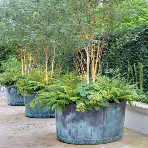 Lead & Other Planters - ARCHITECTURAL HERITAGE Butter Wakefield, Large Garden Pots, Large Garden Planters, Copper Garden, Potted Plants Outdoor, Copper Planters, Large Garden, Garden Containers, The Courtyard