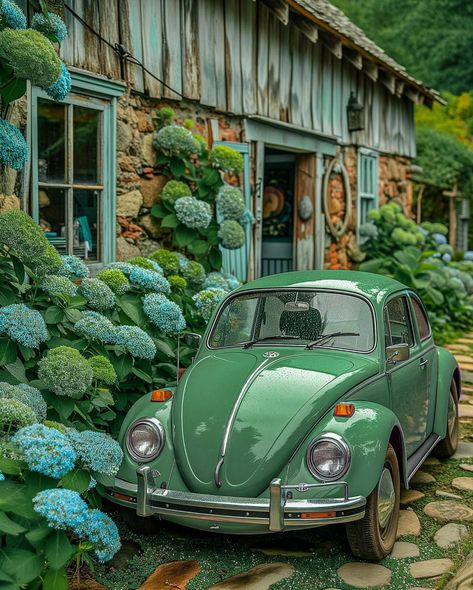 Digital Mixed Media, Green Cottage, Home Aesthetics, Beetle Car, Alfa Romeo Spider, Vw Vintage, Modern Home Interior Design, Cottage Home, Vw T1