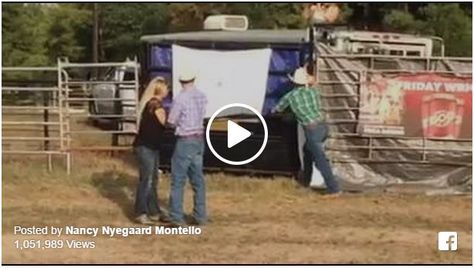 This is the best gender reveal I've ever seen...that lucky bun in the oven is going to be so happy with her gift! I wish I had thought of this myself :) Share this on Facebook if you think this is ... Best Gender Reveal, Country Photos, Baby Number 2, Bun In The Oven, Gender Reveals, Baby Gender Reveal Party, Baby E, Future Children, Future Family