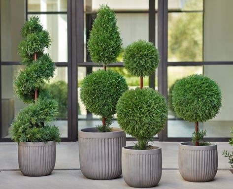 How to Pot an Artificial Plant using Planters | Balsam Hill Blog Porch Planter Ideas, Front Porch Flower Pots, French Hydrangea, Spring Greenery, Outdoor Topiary, Front Porch Flowers, Porch Plants, Beautiful Front Doors, Porch Flowers