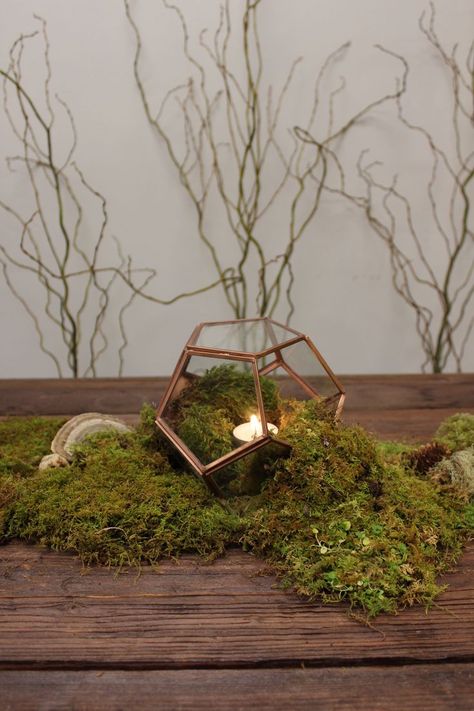 A little patch of moss with a silver geo something and votive Moss Wedding, Geometric Candle Holder, Gold Mines, Terrarium Centerpiece, Geometric Candles, Board Signs, Moss Covered, Antique Mirrors, Wedding Floral Centerpieces