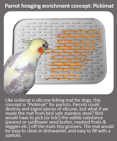 Parrot foraging enrichment concept: Like Lickimat is silicone licking mat for dogs, this concept is “Pickimat” for parrots. Parrots could destroy and ingest pieces of silicone, but what if we made the mat from bird safe stainless steel? Bird would have to pick (or lick!) the edible substance (peanut or sunflower seed butter, mashed fruits & veggies etc.) off the mats tiny grooves. The mat would be easy to clean in dishwasher, and easy to fill with a spatula. Parrot Enrichment Diy, Cockatiel Enrichment, Parrot Activities, Wolf Enrichment, Elephant Enrichment, Chicken Enrichment, Parrot Foraging, Bird Enrichment, Parrot Enrichment