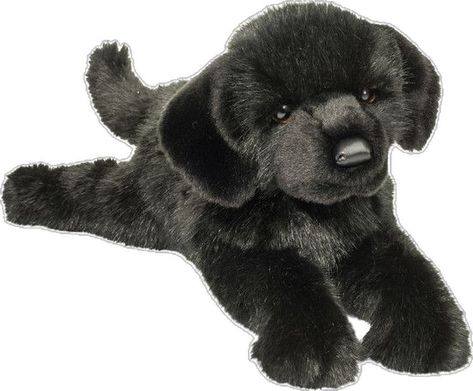 Glossy, coal black fur combined with an overwhelmingly sweet expression is how Jake the DLux plush Black Lab wins his fans! Take one look into the face of our sweet puppy stuffed animal and we’re sure you’ll be falling for him too! Using only the finest quality plush materials and polyester fill, the animals in our DLux collection are renowned for their highly huggable shapes and distinctive personalities, and Jake is no exception. With his weighted paws and slightly understuffed body, he will s Douglas Dog Plush, Black Stuffed Animal, Puppy Stuffed Animal, Dog Plushie, Burr Basket, Animal Plushies, Sweet Expression, Puppy Cuddles, Will S