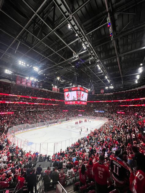 Hockey rink of Florida Panthers Florida Panthers Aesthetic, Florida Panthers Hockey, Hockey Aesthetic, Nj Devils, Florida Panthers, Hockey Players, Hockey Rink, Ice Hockey, Dear Diary