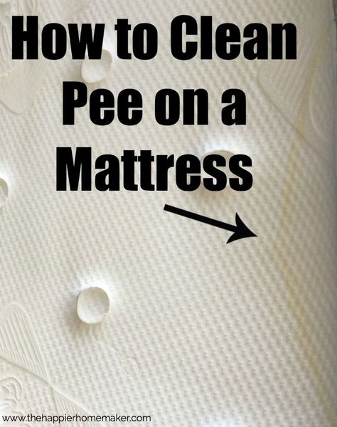 How to Clean Pee on a Mattress Clean Hacks, Homemade Toilet Cleaner, Clean Baking Pans, Hardwood Floor Cleaner, Cleaning Painted Walls, Glass Cooktop, Deep Cleaning Tips, Toilet Cleaner, Design Seeds