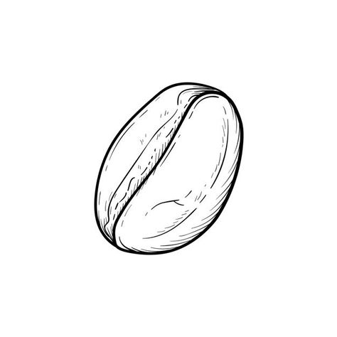 Coffee Bean Illustration, Doodle Icon, Roasted Coffee Beans, Vector Sketch, Roasted Coffee, Sketch Illustration, Coffee Bean, White Coffee, Coffee Roasting