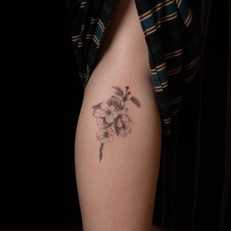 Apple Blossom Tattoos, Apple Tree Branch, Apple Tree Flowers, Tree Branch Tattoo, Apple Tree Blossoms, Grace Tattoos, Apple Tattoo, Amsterdam Tattoo, Branch Tattoo