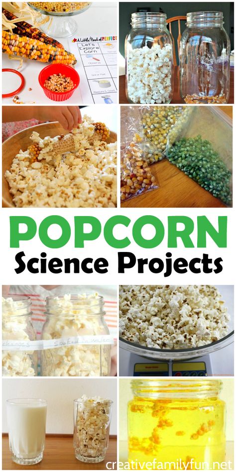 Fun Popcorn Science Experiments for Kids - Creative Family Fun Science Experiments For Teens, Popcorn Science Project, Popcorn Science, Fun Popcorn, Kitchen Science Experiments, Chemistry For Kids, Kitchen Science, Science Experiments For Kids, Science Week