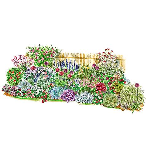 Garden Plan to Soften a Fence A color palette of pinks and purples gives this perennial border a unified look and a rich series of contrasts. Cottage Garden Plan, Border Garden, Cedar House, Flower Garden Plans, Sunny Garden, Garden Nook, House Farm, Garden Plan, Perennial Border