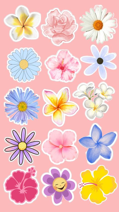 Flower Stickers Aesthetic Printable, Pink Stickers Aesthetic Printable, Aesthetic Png Stickers, Sticker Sheets Aesthetic, Printable Stickers Sheet, Pink Floral Background, Journal Things, Printable Sticker Sheets, Aesthetic Png