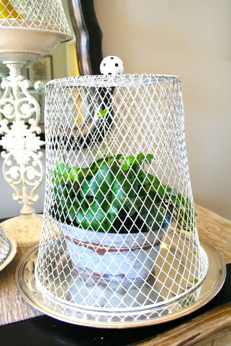 Chicken Wire-Like Cloche:) Diy Cloche, Cloche Decor, Dry Brush Painting, Shabby Chic Crafts, Chicken Wire, Annie Sloan Chalk Paint, Wire Crafts, Dollar Tree Crafts, Dollar Store Crafts