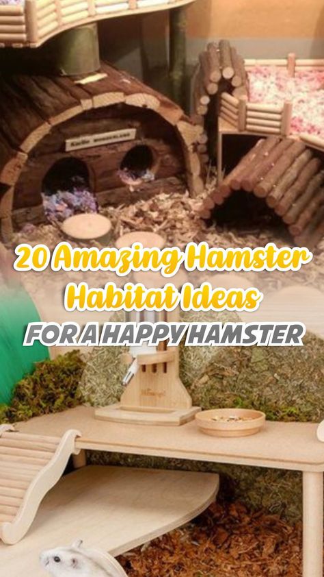 Natural Hamster Habitat Ideas, Diy Syrian Hamster Cage, Hamster Bedding Ideas, Hamster Safe Plants, Diy Hamster Habitat, Hamster Sand Bath Diy, Diy Hamster Cage Accessories, Aquarium Hamster Cage, 40 Gallon Hamster Tank Ideas