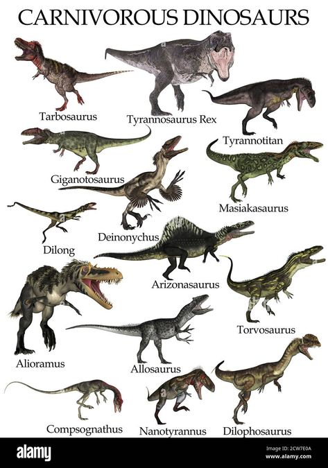 Dinosaur Information, Types Of Dinosaurs, Dinosaur Theme Preschool, Dinosaur History, Prehistoric Animals Dinosaurs, Dinosaur Train, Prehistoric Dinosaurs, Dinosaur Posters, Dinosaur Wallpaper