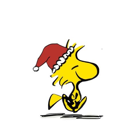 Christmas Snoopy, Snoopy Images, Snoopy Wallpaper, Snoopy Pictures, Snoopy Christmas, What Matters Most, Woodstock, Save Money, Insurance