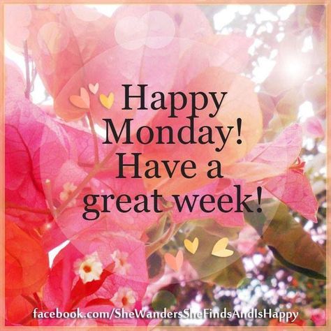 Happy Monday! Have A Great Week! Happy Monday Images, Monday Inspirational Quotes, Monday Greetings, Monday Wishes, Happy Monday Quotes, Happy Monday Morning, Today Is Monday, Monday Images, Monday Morning Quotes