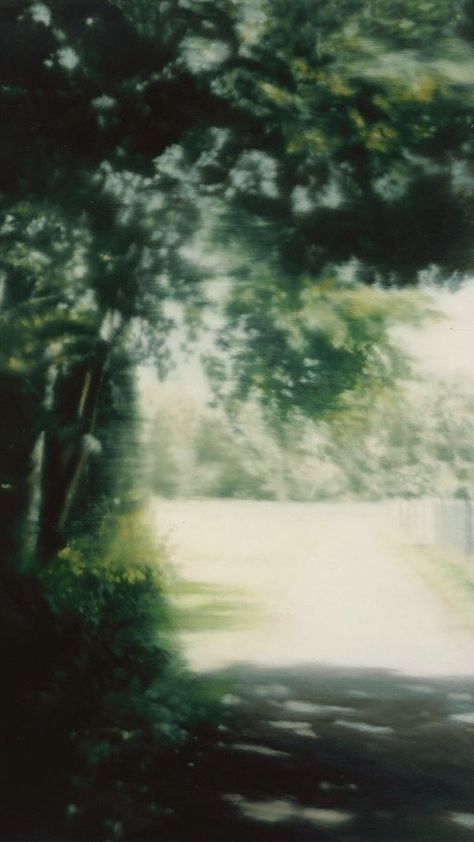 Edie Beale, Derek Jarman, 숲 사진, Grand Palais, Cinematic Photography, Film Aesthetic, Nature Aesthetic, Sky Aesthetic, Green Aesthetic