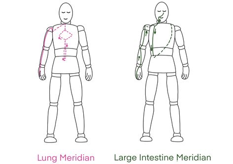 Lung and Large Intestine Meridians Yin Yoga - Melanie Cooper Yoga Yin Yoga Meridians, Yoga For Lungs, Spleen Meridian Yoga, The Body Meridians, Lung Meridian Yin Yoga, Human Body Temperature, Large Intestine, Clear Thinking, Self Image