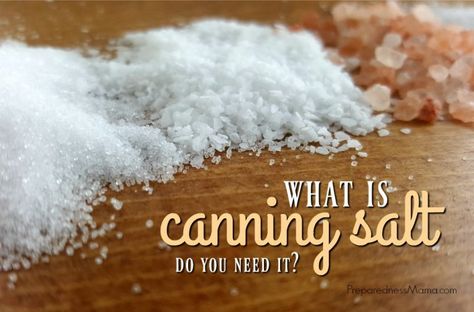 You see it on the grocery store shelf under many different names: canning salt, kosher salt, sea salt, and table salt. Are they interchangeable for canning? | PreparednessMama Canning Preserves, Grocery Store Shelf, Canning Salt, Salt Substitute, Long Term Food Storage, Table Salt, Dehydrated Food, Rock Salt, Canning Recipes