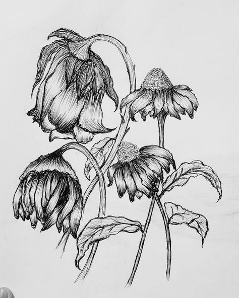 Decaying Flowers Drawing, Old Flower Drawing, Withered Flowers Drawing, Skeleton Flower Drawing, Withering Flower Drawing, Droopy Flowers Drawing, Falling Flowers Drawing, Wilted Flowers Tattoo, Wilting Flowers Drawing