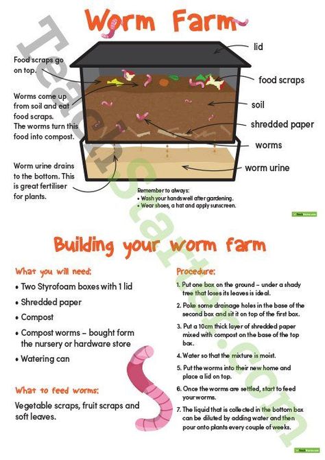 Earthworm Farm, Worm Farm Diy, Worm Composting Bin, Farm Poster, Worm Bin, Worm Composting, Worm Farm, Vegetable Garden Diy, Garden Compost