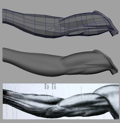 Arm Topology, Blender Topology, Body Topology, Face Topology, Modelling Tips, Human Anatomy For Artists, 3d Karakter, Female Anatomy Reference, Sculpting Tutorials