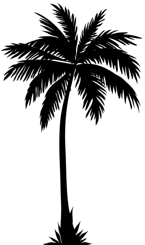 Palmera Palm Tree Clip Art, Tree Tattoo Back, Palm Tree Drawing, Palm Tree Vector, Palm Tattoos, Palm Tree Art, Palm Tree Silhouette, Palm Tree Tattoo, Clip Art Pictures