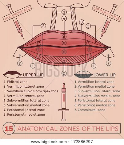 Botox And Fillers Logo, Injection Image, Botox Injection Sites, Dermal Fillers Lips, Hyaluronic Acid Lips, Botox Lips, Aesthetic Dermatology, Facial Fillers, Cosmetic Injectables