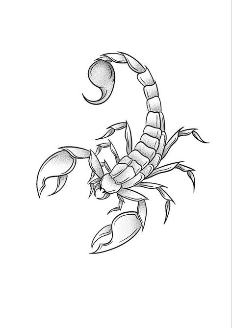 Scorpion Tattoo Outline, Scorpion Tattoo Drawing, Scorpion Stencil, Scorpion Outline, Scorpion Drawing, Scorpion Tattoo Design, Scorpion Design, Abstract Tattoo Ideas, Traditional Tattoo Designs