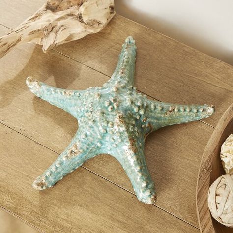 Pirate Shipwreck, Sea Stuff, Starfish Art, Coastal Ornament, Sea Urchin Shell, Giraffe Family, Star Decor, Pottery Inspo, Stella Marina