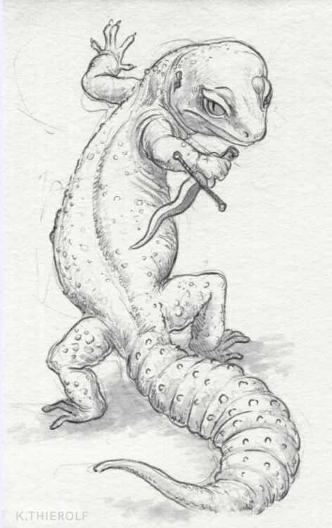 Drawing Of Lizard, Cute Reptile Drawings, Salamander Sketch, Lizards Drawing, Gecko Sketch, Reptile Sketch, Reptile Tattoo Ideas, Salamander Drawing, Lizard Sketch