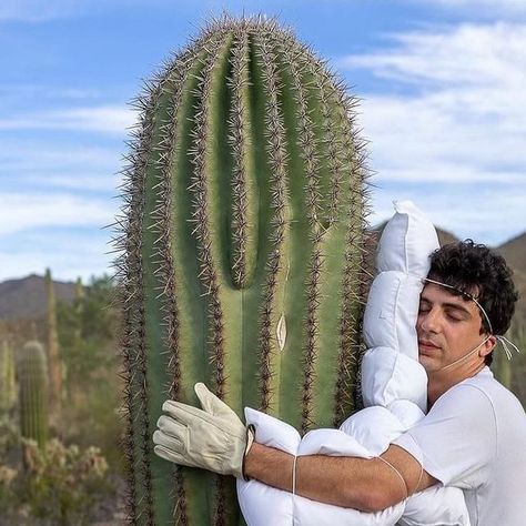 The Pink Lemonade on Instagram: "@adrien_missika found the best way to hug a cactus 🌵🥰 #thepinklemonade @the.pinklemonade" Hug Meme, Pretty Photos, Pink Lemonade, Lisbon, The Pink, Lemonade, Cactus, Good Things, Collage