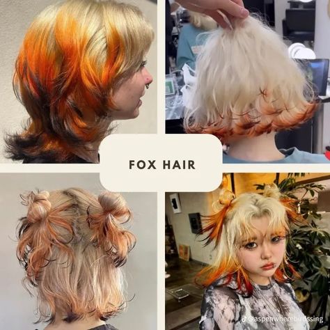 Fox Tips Hair, Fox Dyed Hair, Fox Hair Dye, Dyed Tips, Fox Hair, Goth Hair, Dyed Hair Inspiration, Hair Inspiration Short, Pretty Hair Color