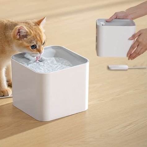 Cat Water Fountain, luti Pet Water Dispenser Automatic Pet Drinking Fountain with Wireless Pump, Super Quiet Dispenser for Cats Kitty Dogs Multiple Pets 67oz/2L Quiet Cat, Cat Water Bowl, Cat Fountain, Cat Water Fountain, Pet Water Fountain, Drinking Fountain, Cat Drinking, Dog Feeder, Making Life Easier