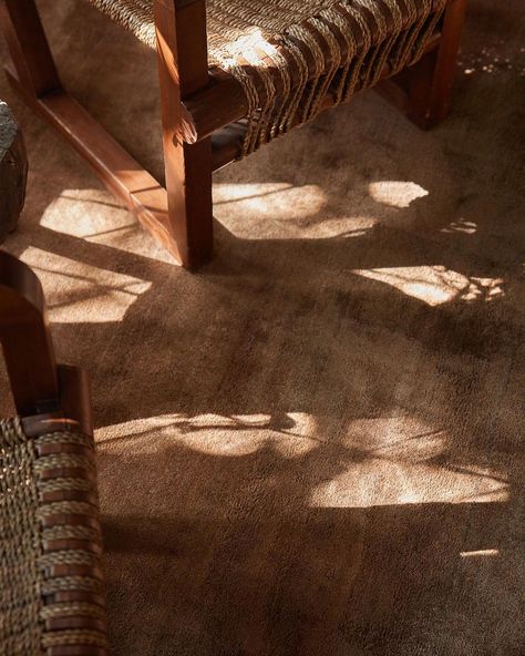 Jake Arnold (@jakearnold) • Instagram photos and videos Jake Arnold, Living Room Warm, Dark Floors, Lulu And Georgia, Brown Interior, Brown Living Room, December 21, Updating House, Petrified Wood