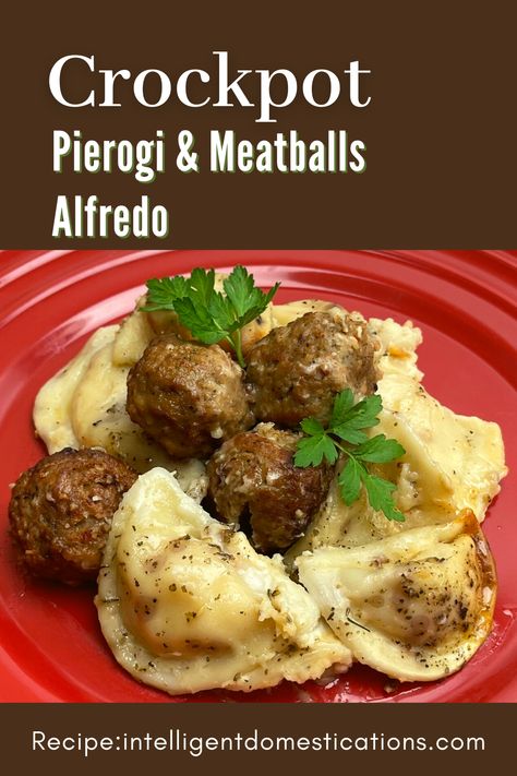 Easy recipe for Crockpot Pierogi's and Meatballs in Alfredo Sauce. Only a few ingredients in the weeknight dinner Crockpot recipe. Weeknight Dinner Crockpot, Meatballs And Alfredo Sauce, Recipe With Meatballs, Crockpot Pierogi Casserole, Pierogi Casserole, Dinner Crockpot, Pierogi Recipe, Slow Cooker Stew, Easy Crockpot Dinners