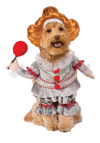 IT Pennywise Pet Dog Costume #Sponsored #Pet, #Ad, #Pennywise, #Costume Dogs In Costumes, Costumes For Cats, Dog Swag, Dressed Up Dogs, Dog Treats Recipes, Dog Room Ideas, Clown Clothes, Dog Room, Pumpkin Costume