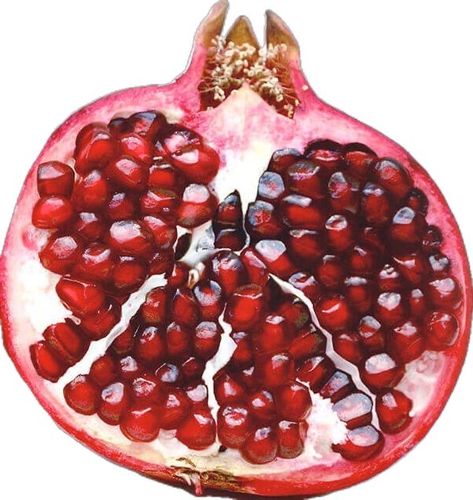 Pomegranate Seeds Drawing, Pomegranate Reference Photo, Pomagranet Drawing Reference, Pomegranate Reference, Pomagranet Art, Pomegranate Photography, Open Pomegranate, Pomegranate Pictures, Pomegranate Aesthetic