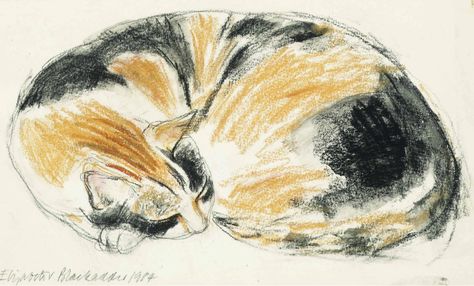 Two Cats Sleeping Drawing, Two Cats Sleeping, Elizabeth Blackadder, Bo Fransson, Royal Mail Stamps, Sleeping Drawing, Celtic Myth, Cats Flowers, Cats Sleeping