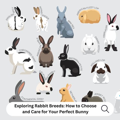 With over 50 domesticated rabbit breeds you are bound to find one that fits your household! 🐇❤️⁠ ⁠ Our latest blog helps you navigate the world of rabbit breeds, understand their care requirements, and explains why adopting from rescues is a compassionate choice. ⁠ ⁠ Click the 🔗 in bio to find your ideal bunny companion! 🏡 ⁠ Types Of Rabbits, Types Of Bunnies, Rabbit Breeds, Rabbit Hole, Rabbits, Over 50, Finding Yourself, The World