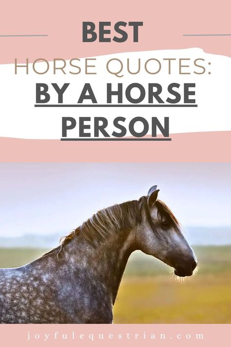 Dive into a collection of the most inspiring horse quotes! From humorous quips to profound insights, this curated list speaks to the heart of every horse lover. #HorseQuotes #EquestrianLife #HorseQuotes #EquestrianLife #HorseLovers #EquineBeauty #InspirationalQuotes #HorseBonding #EquestrianInspiration Horse People Quotes, Horse Quotes Meaningful Short, Equestrian Quotes Inspirational, Horse Quotes Meaningful, Funny Horse Quotes, Horse Love Quotes, Sunny Day Quotes, Cute Horse Quotes, Horse Poems