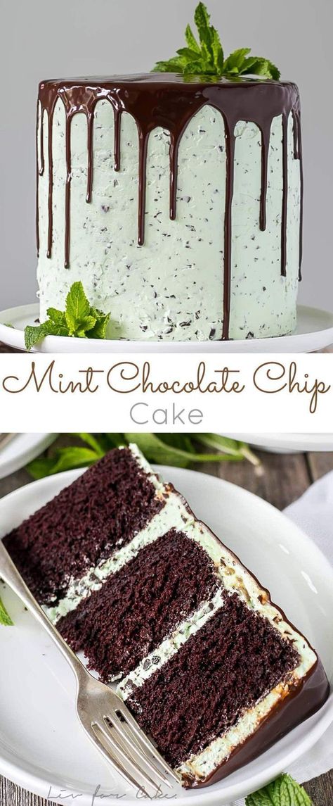 This Mint Chocolate Chip Cake is a mint lover's dream! Layers of decadent chocolate cake topped with a silky mint chip buttercream. | livforcake.com Mint Chocolate Chip Cake, Chocolate Chip Cake Recipe, Mint Chocolate Cake, Chocolate Chip Cake, Mint Chocolate Chip, Decadent Chocolate Cake, Moist Chocolate Cake, Cool Birthday Cakes, Mint Chocolate Chips