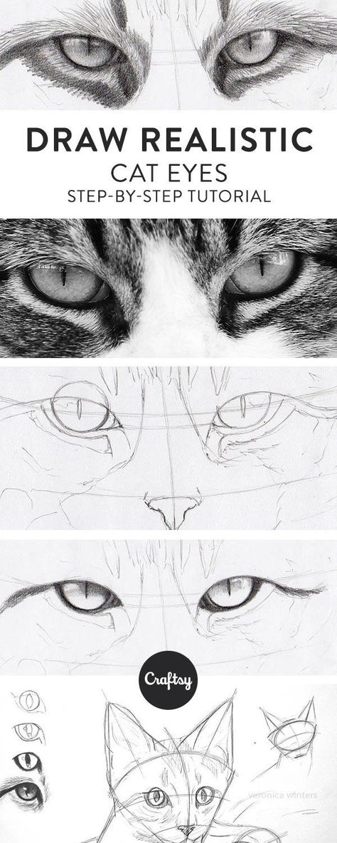 Drawing Heels, Draw Cat Eyes, Heels Drawing, Cat Eye Tutorial, Draw Cat, Draw Cats, Realistic Eye Drawing, Draw Realistic, Kitty Drawing