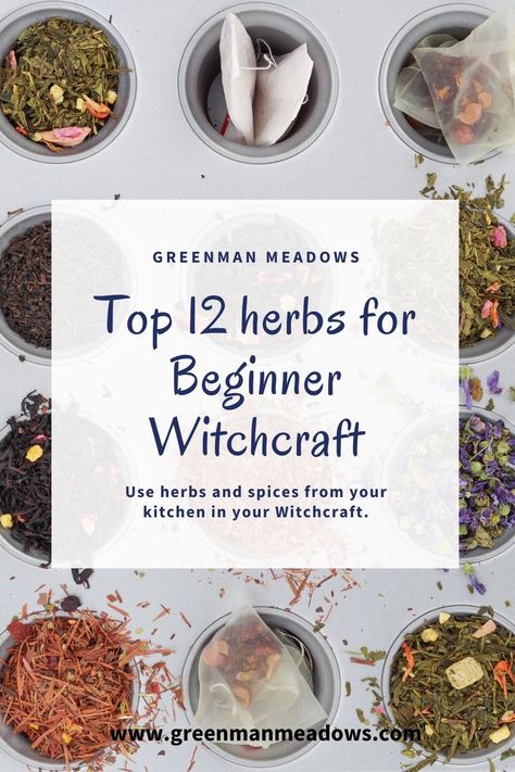 Witchcraft Herbs And Spices, Witch Herbs And Spices, Beginner Witch Herbs, Herb Potions Witchcraft, Herbs And Their Meanings Witchcraft, Spices For Witchcraft, Spiritual Herbs Witches, Essential Herbs For Witchcraft, Witchy Herbs And Spices